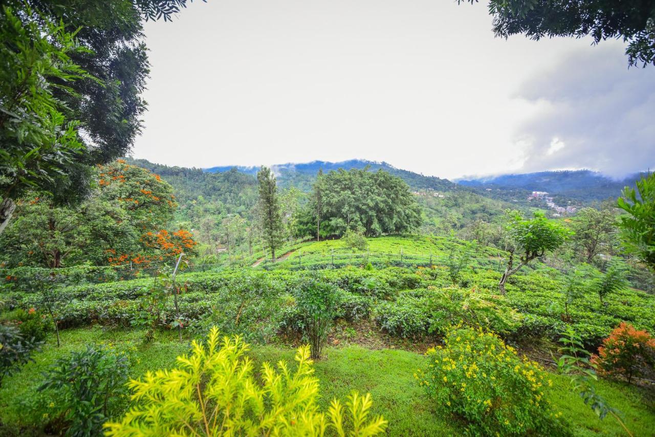 Sithara Estate Bungalow Ella Bagian luar foto