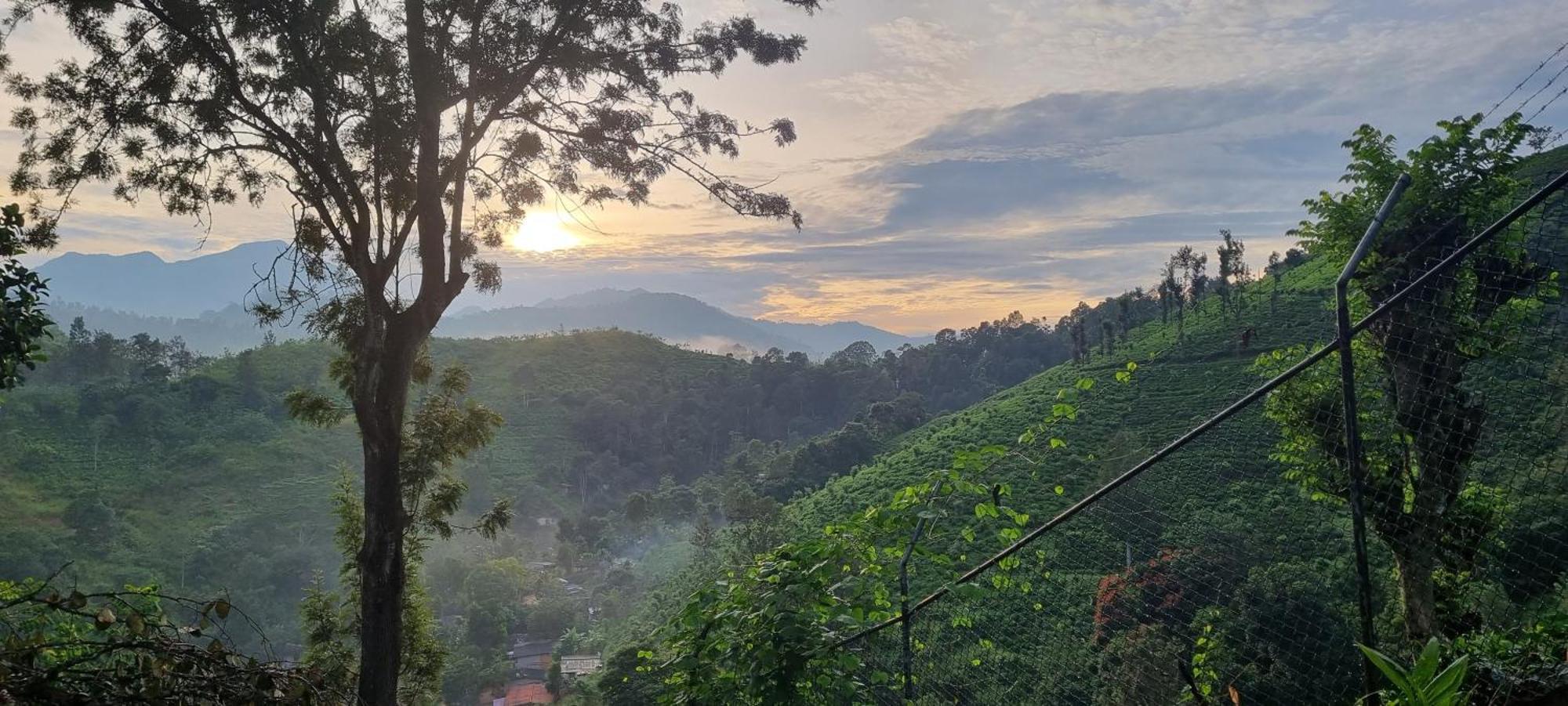 Sithara Estate Bungalow Ella Bagian luar foto