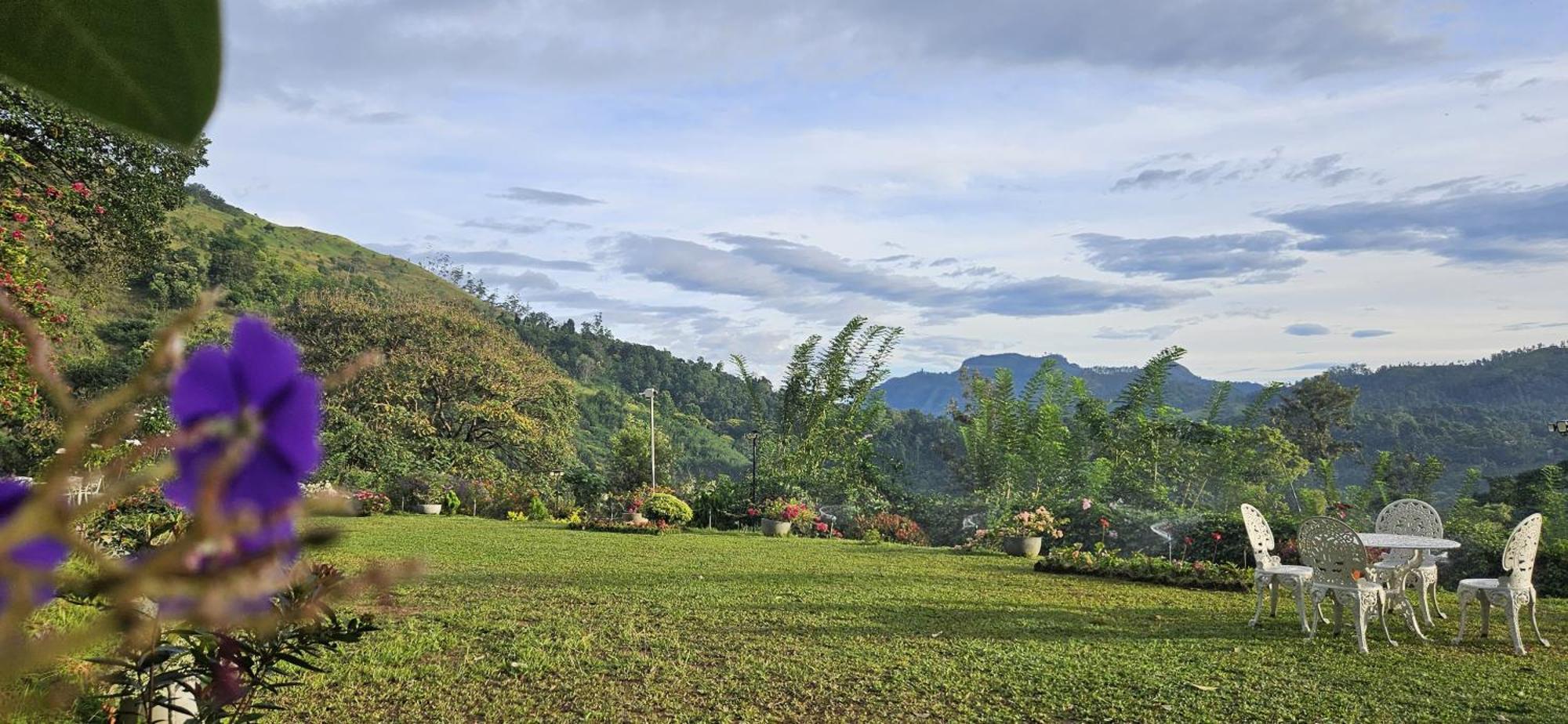 Sithara Estate Bungalow Ella Bagian luar foto