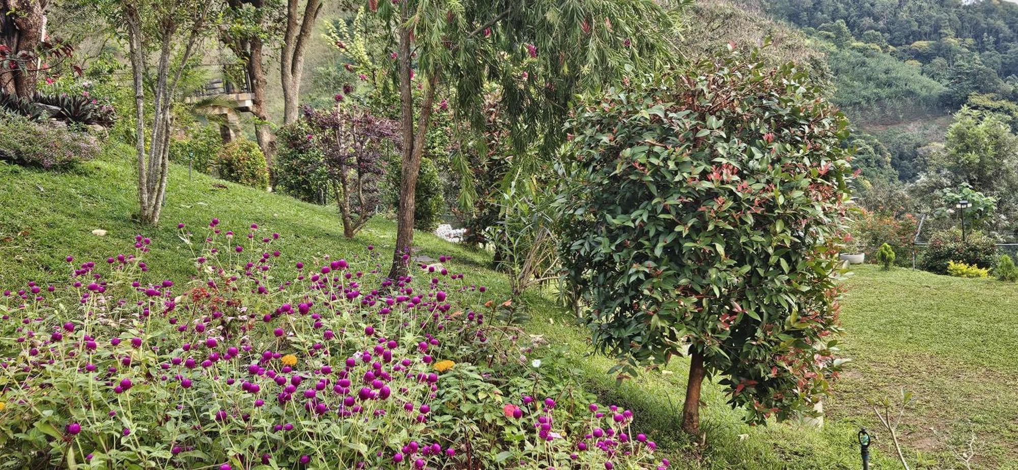 Sithara Estate Bungalow Ella Bagian luar foto