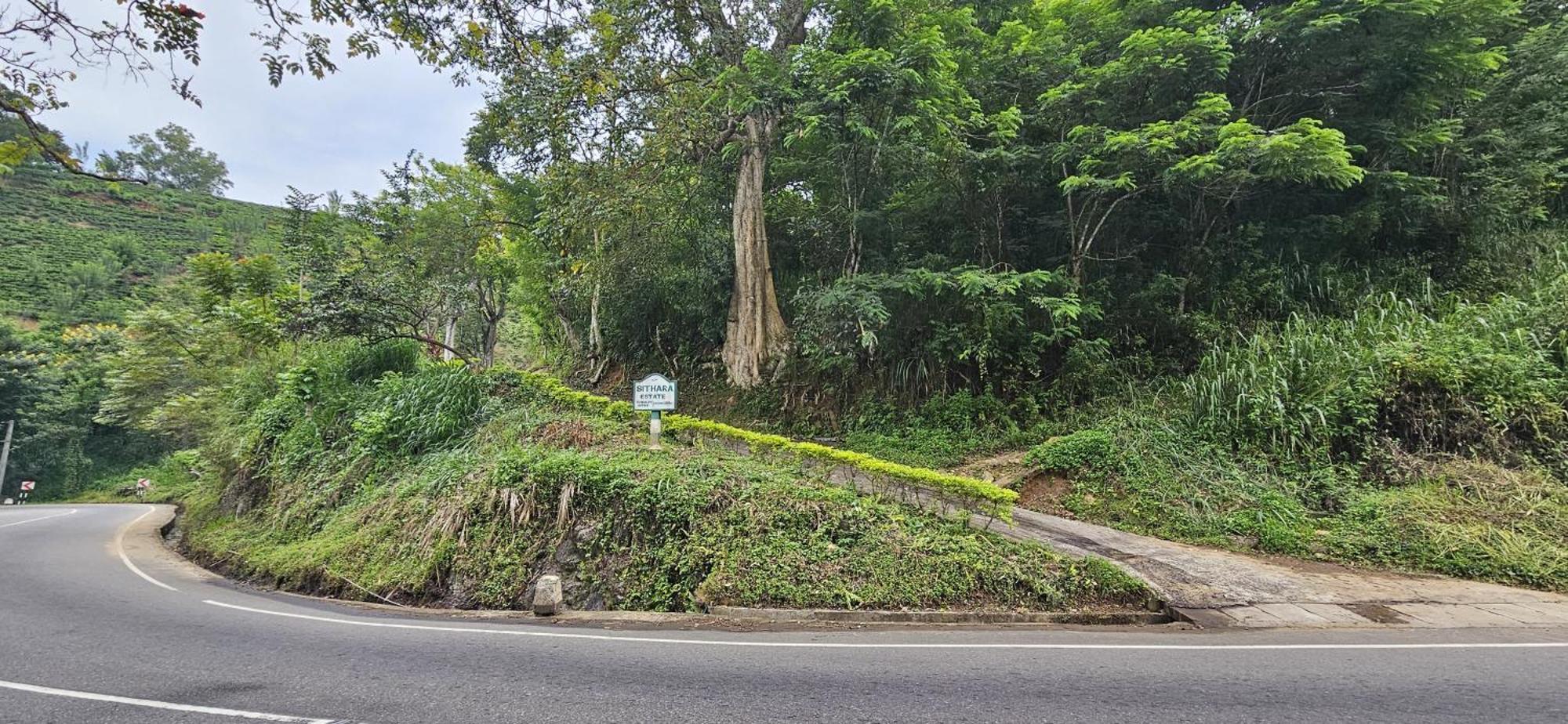 Sithara Estate Bungalow Ella Bagian luar foto