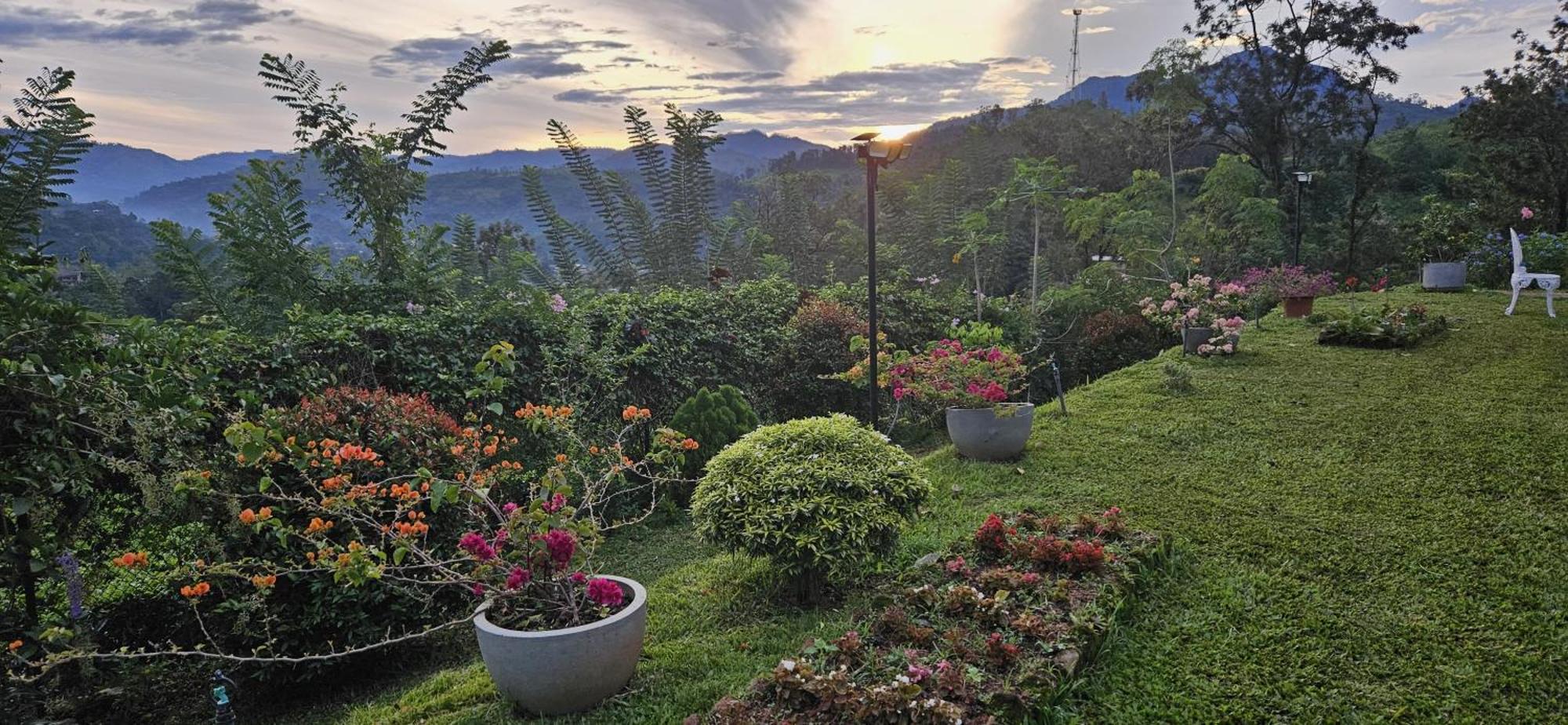 Sithara Estate Bungalow Ella Bagian luar foto