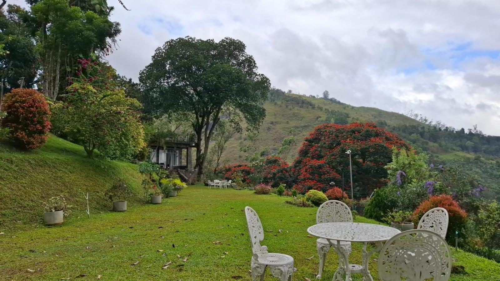 Sithara Estate Bungalow Ella Bagian luar foto