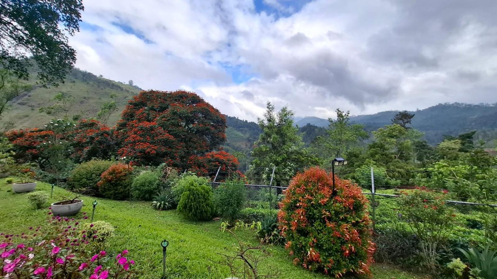 Sithara Estate Bungalow Ella Bagian luar foto