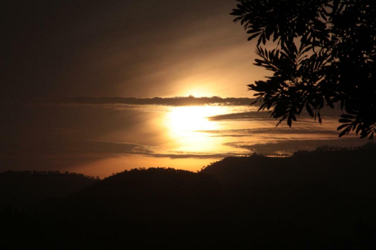 Sithara Estate Bungalow Ella Bagian luar foto