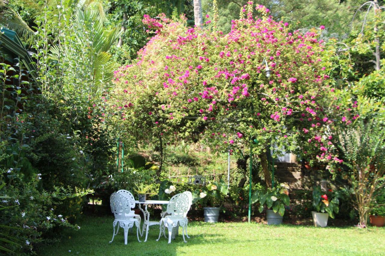 Sithara Estate Bungalow Ella Bagian luar foto
